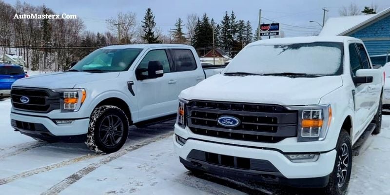 Star White Vs Oxford White