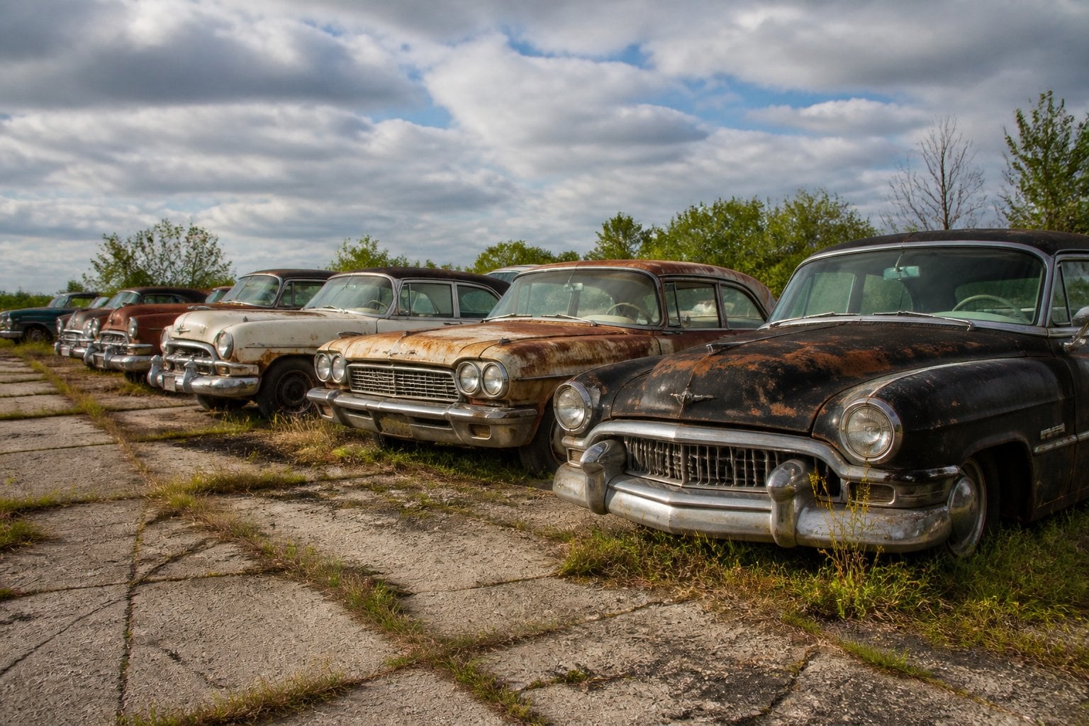 A lineup of several old, worn-out American cars parked outdoors with visible rust and faded paint.