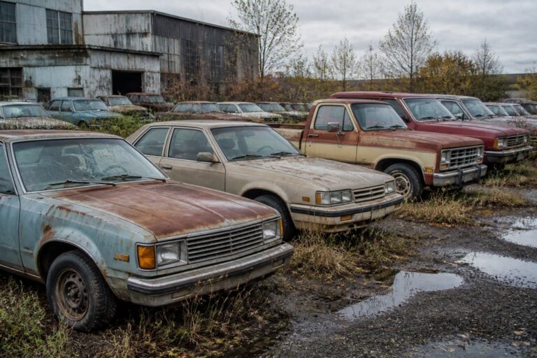 A row of rusty, abandoned Chevrolet vehicles sits among weeds in an overgrown salvage yard.
