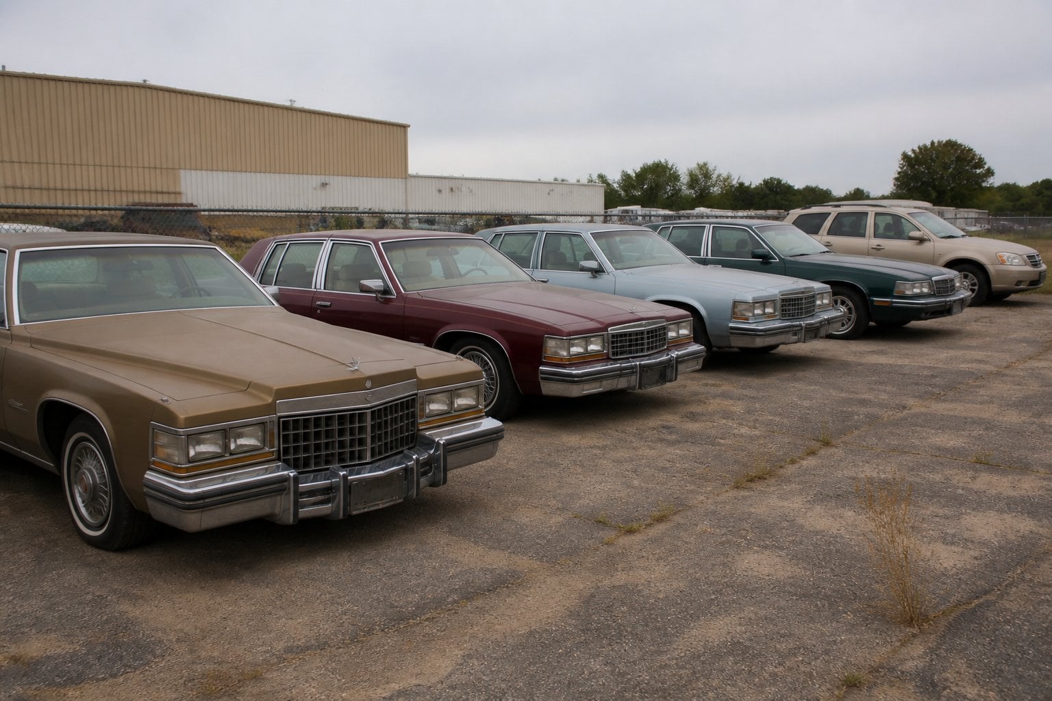 A lineup of aging Cadillac vehicles sits in an outdoor automotive storage lot.