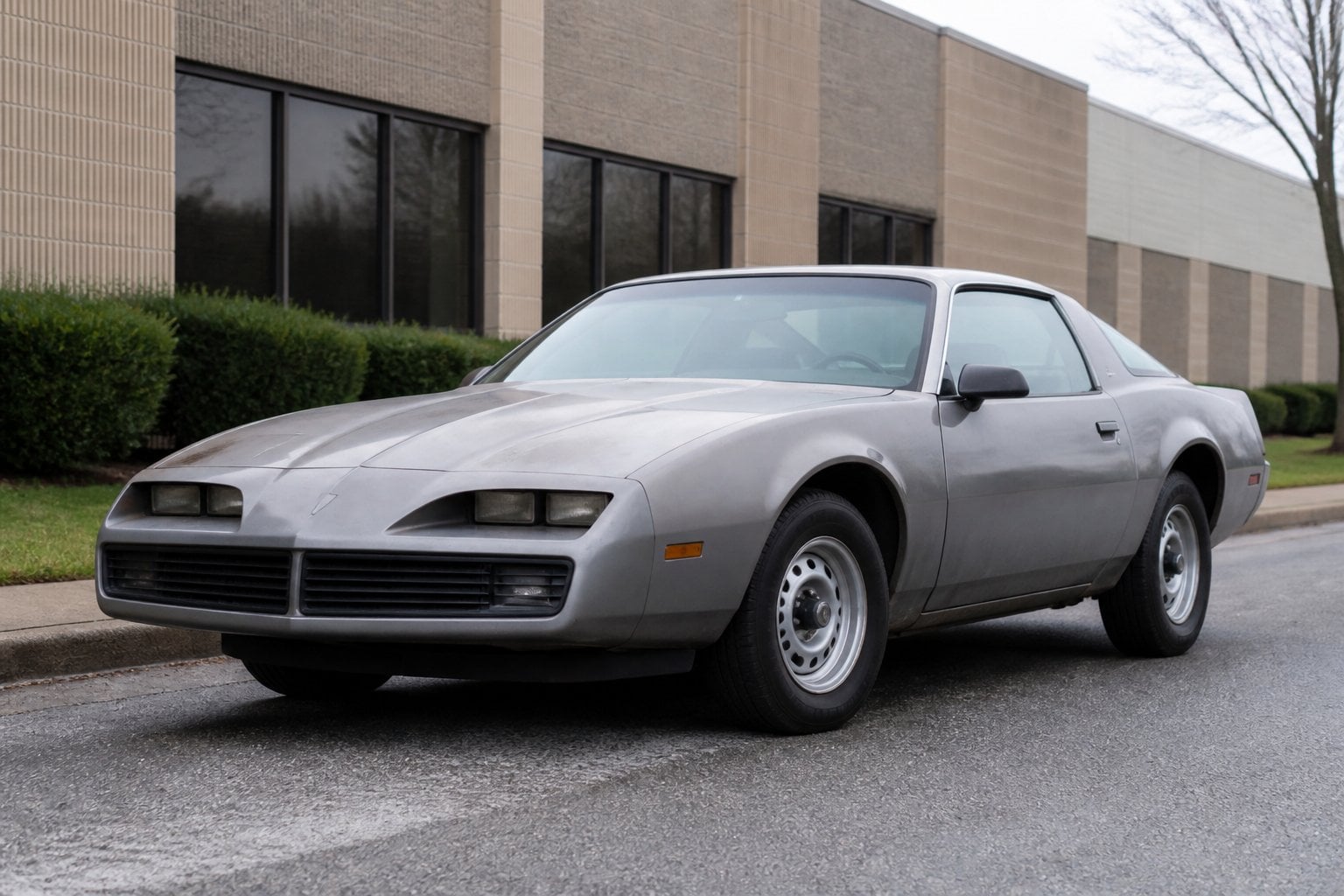 A weathered early-1980s Pontiac Firebird parked beside a quiet roadside.