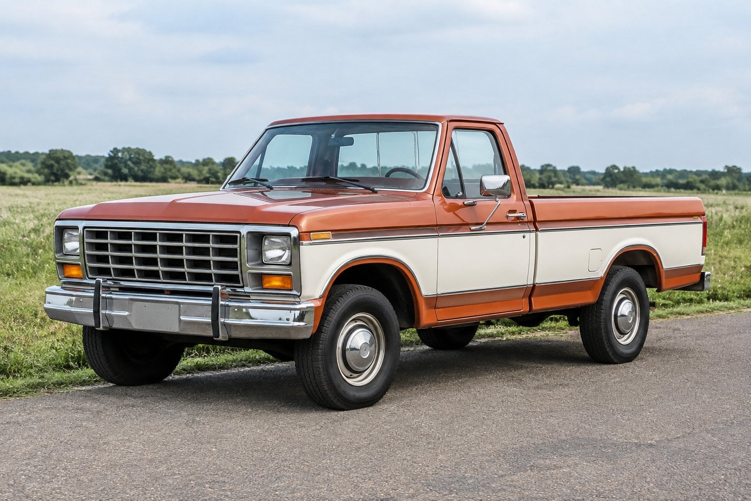 A classic pickup truck parked beside an open field.